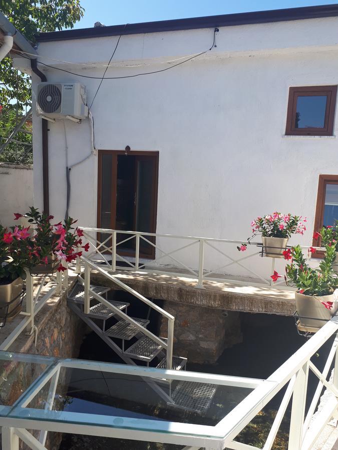 Nuci'S Home Glass Floor Tushemisht Εξωτερικό φωτογραφία